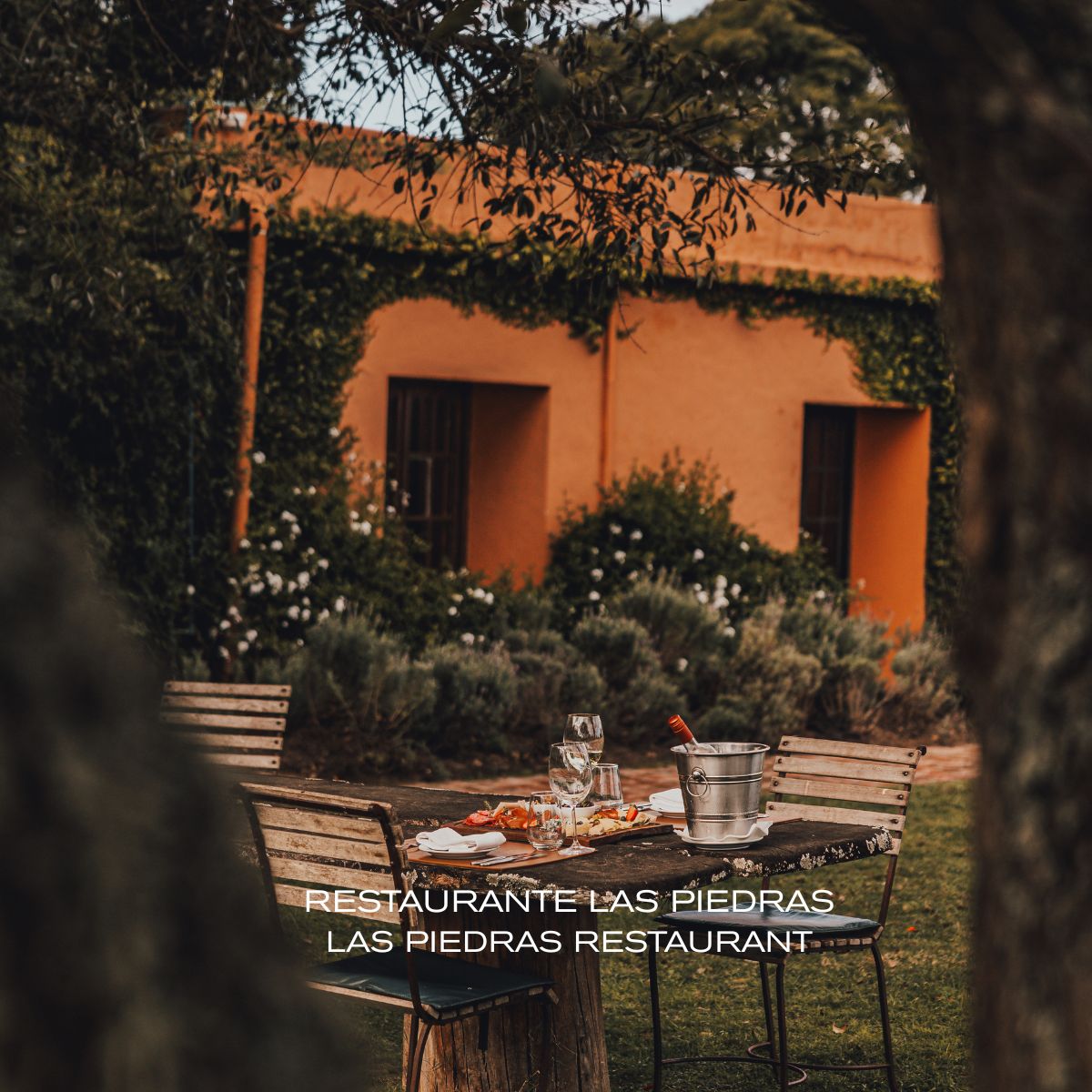 Fasano Punta del Este