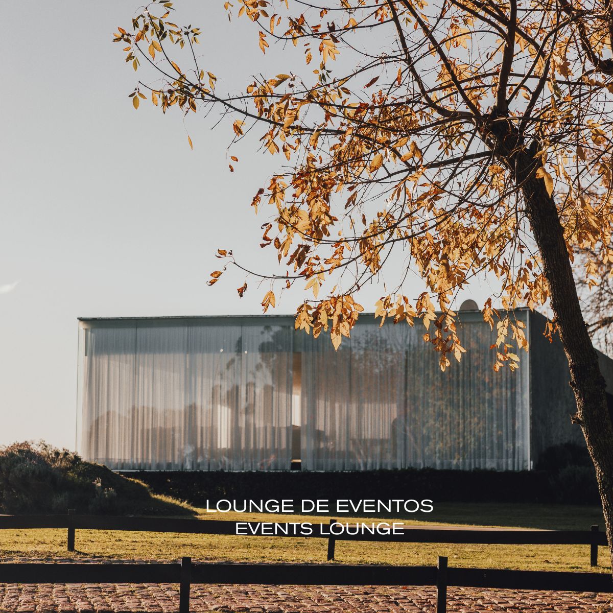 Fasano Punta del Este