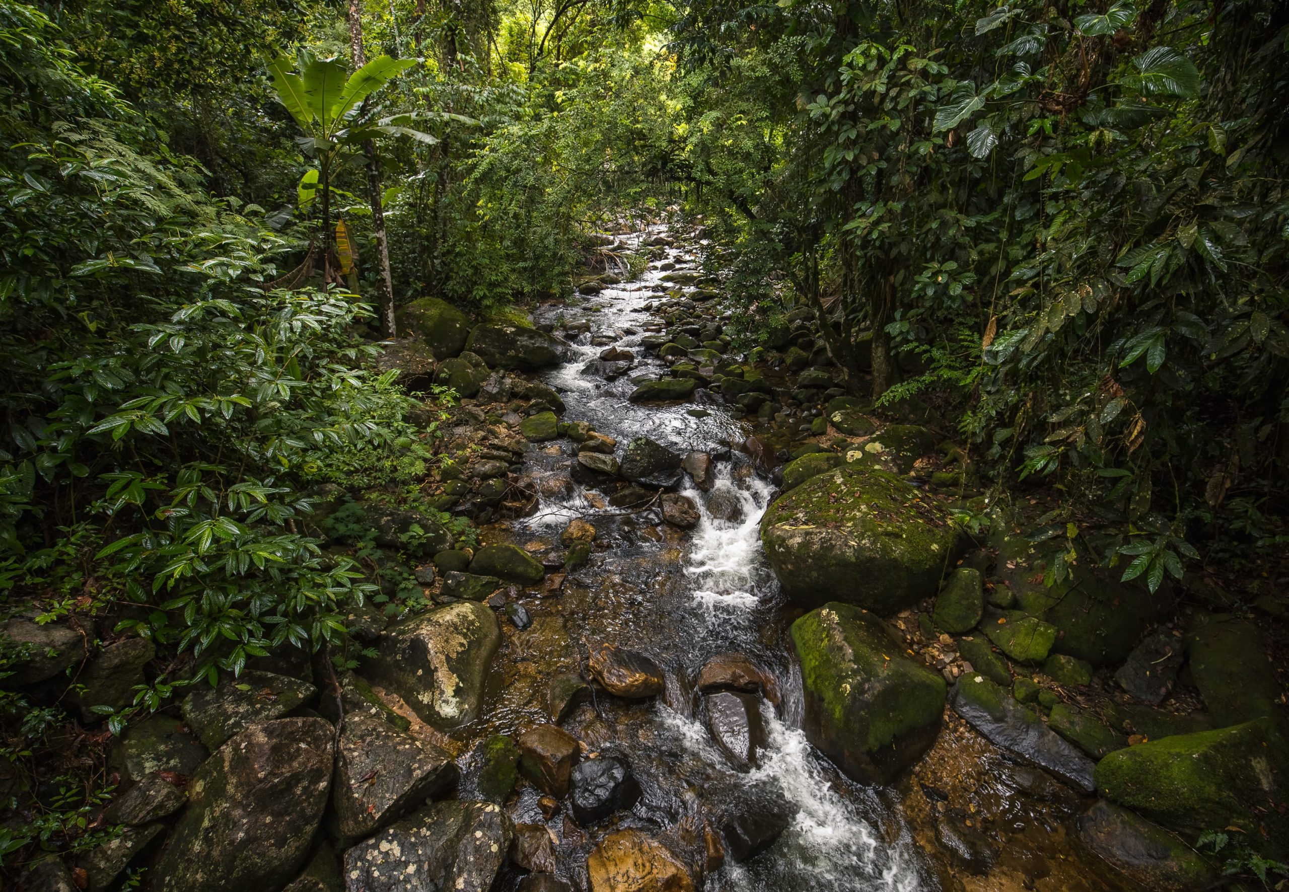 Fasano Angra dos Reis – Trails & Hiking