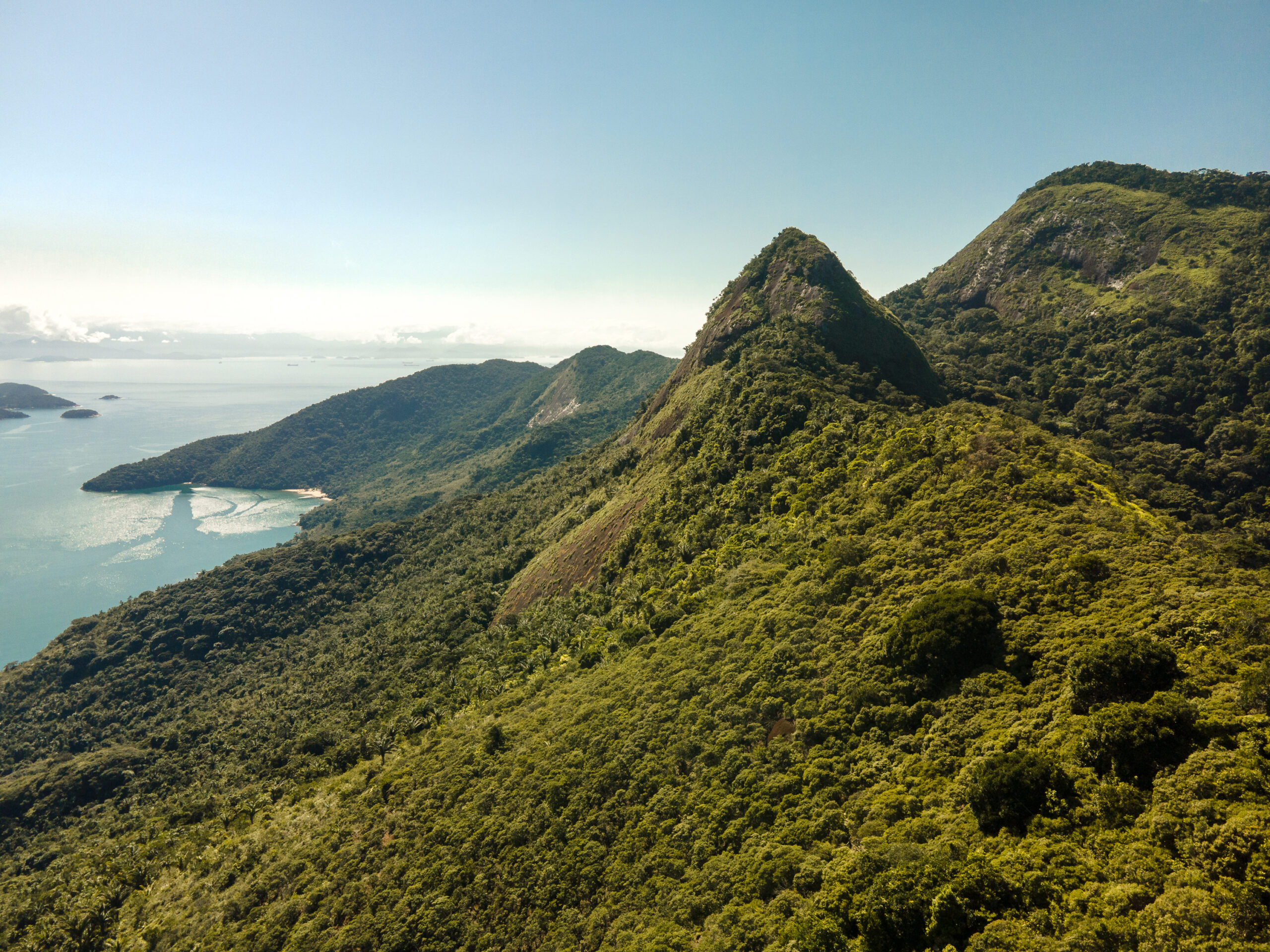 Pico do Papagaio Trail