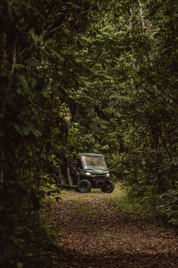 Trails & Hiking
