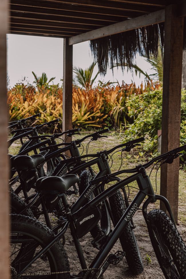 Fat Bikes