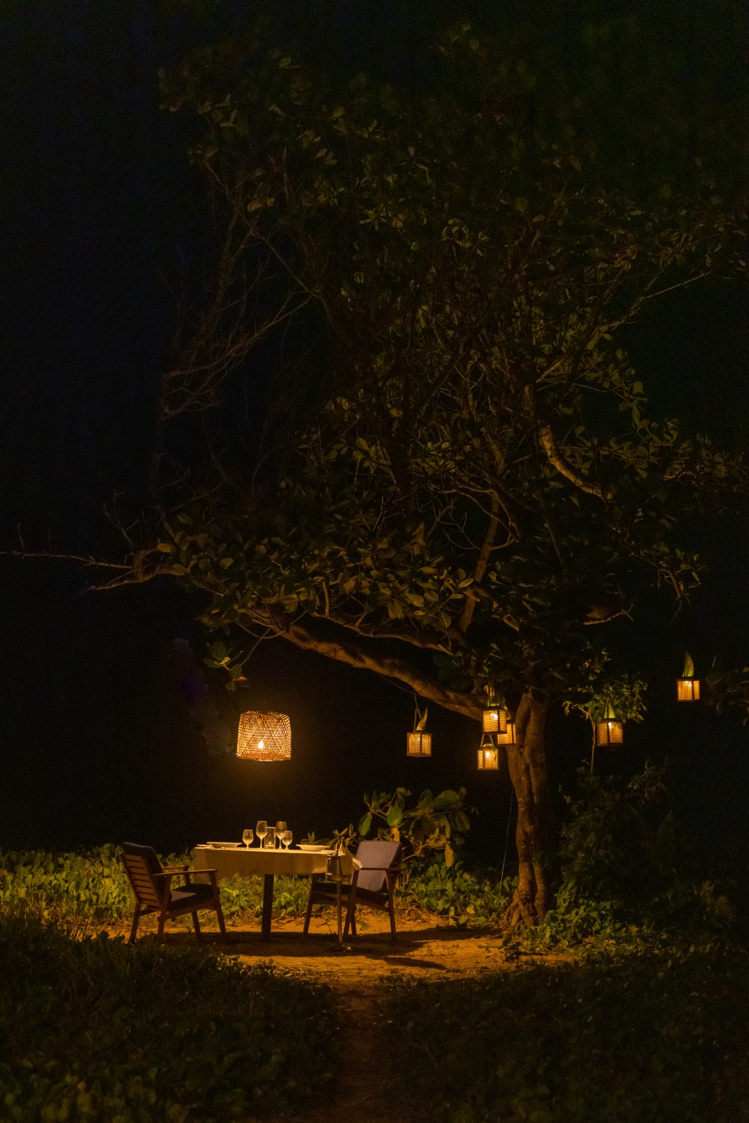 Cena a la luz de la luna
