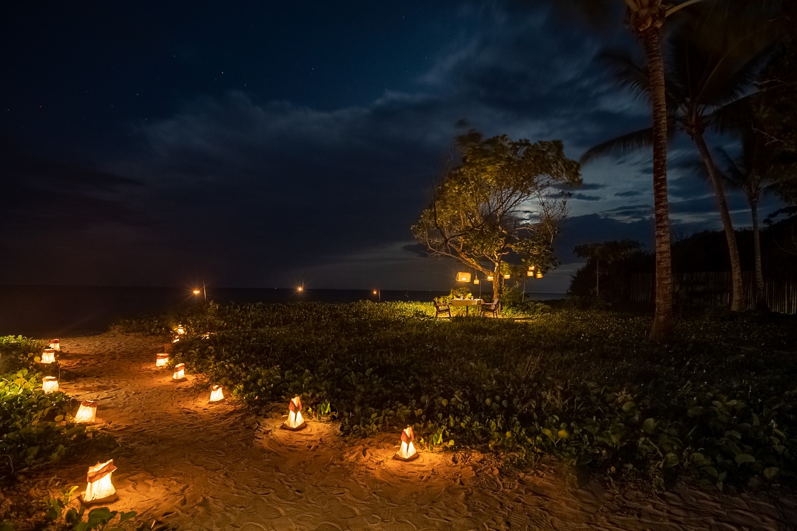 Moonlight Dinner