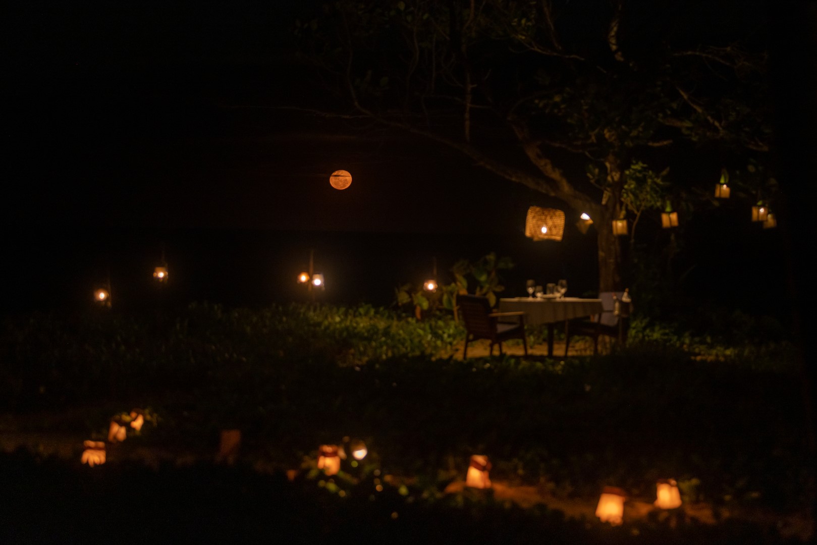 Moonlight dinner