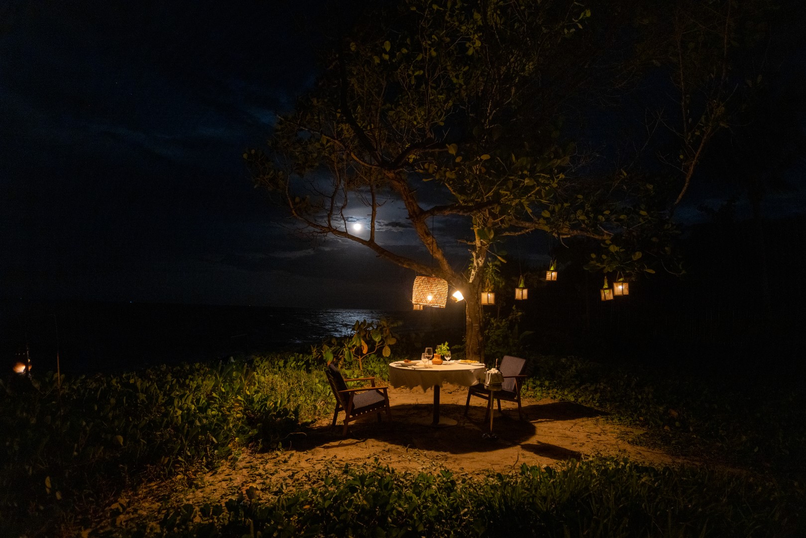 Moonlight Dinner