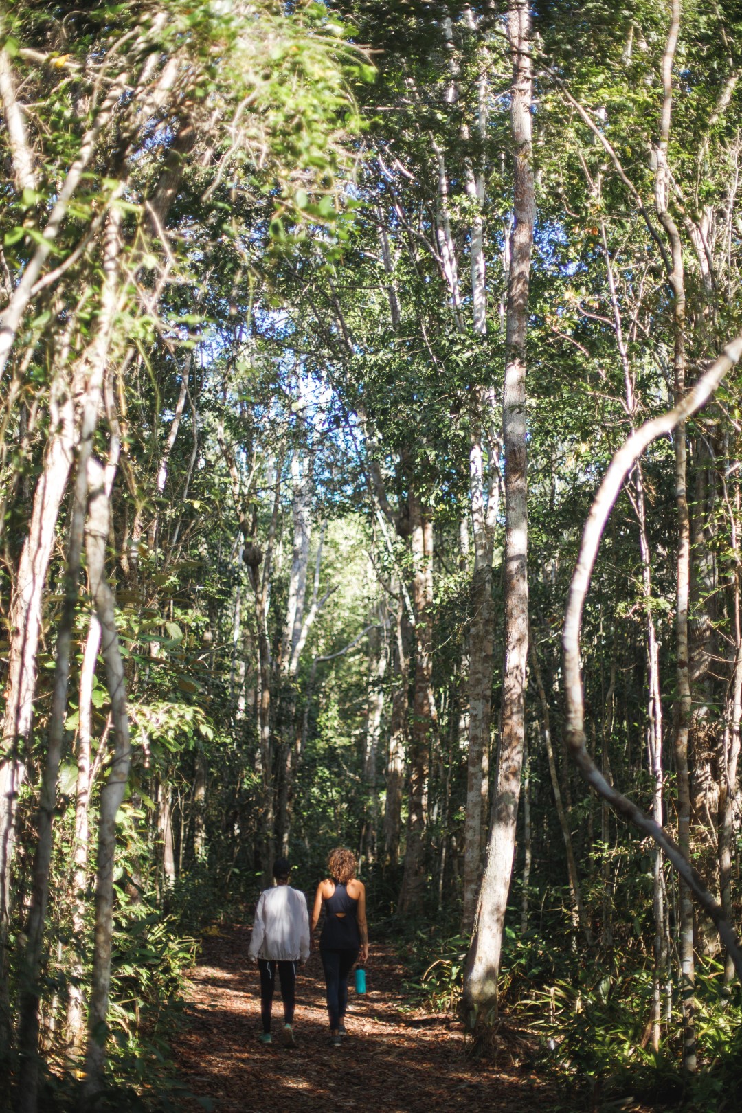 Nature Trails