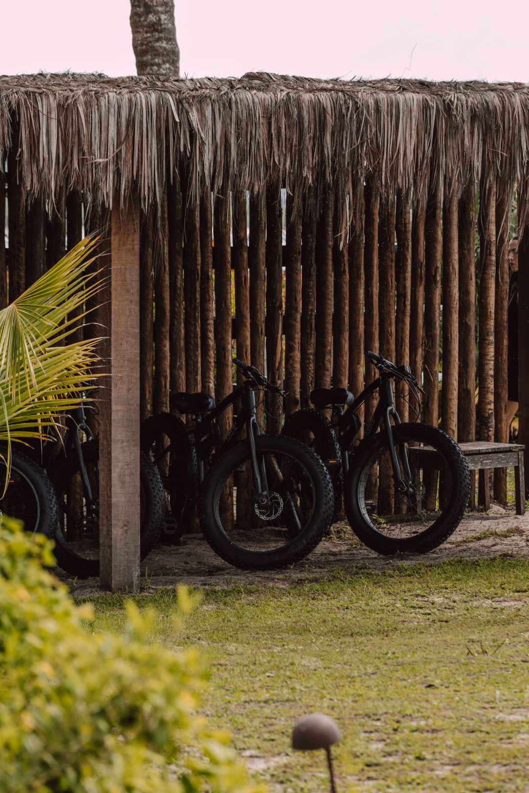 Fat Bike