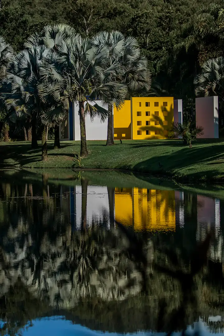 Um dia no Inhotim: arte contemporânea, Mata Atlântica e tudo entre os dois
