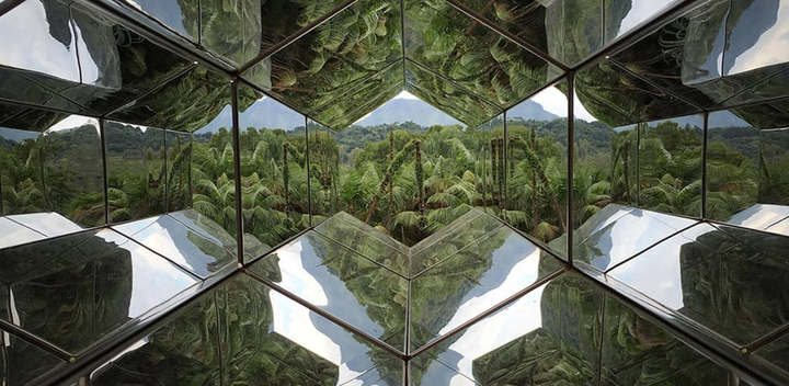 Um dia no Inhotim: arte contemporânea, Mata Atlântica e tudo entre os dois